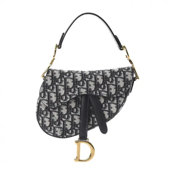 Dior Saddle Bag Oblique