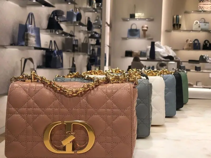 Dior Caro Bag Reference Guide