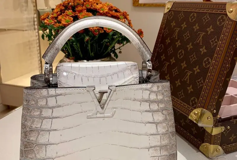 Louis Vuitton Microchips: A Complete Guide