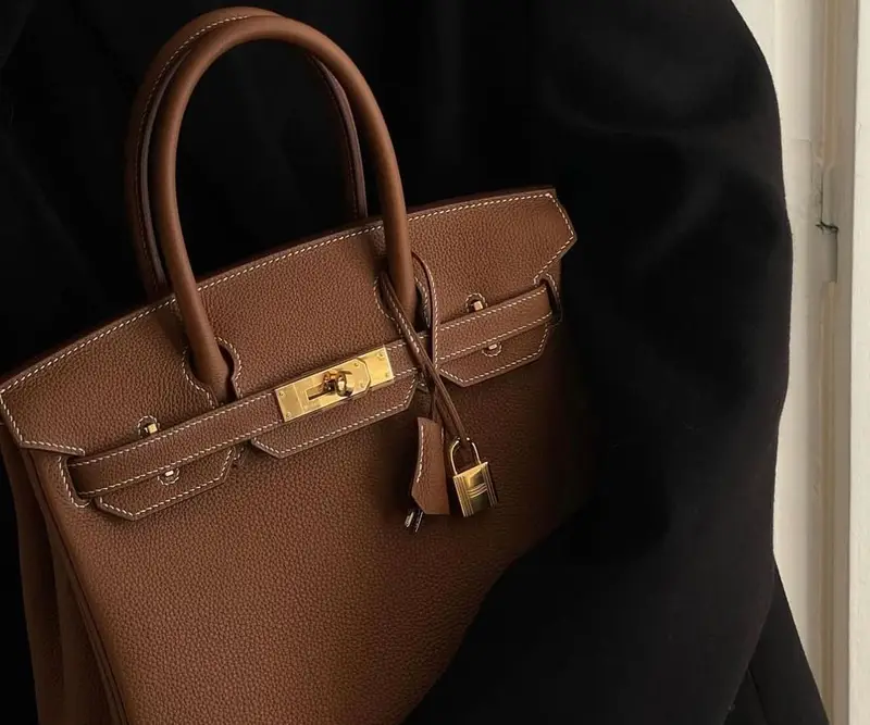 Hermes Birkin 101 Guide: History, Sizes, Latest Prices