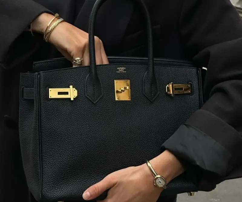 Hermes is Being Sued in California