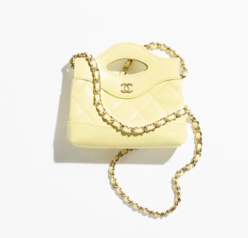 Chanel Clutch with Chain 31 Bag