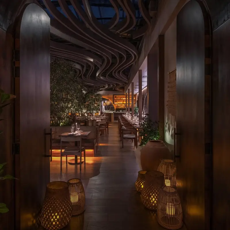 Meduza Mediterrania dinner NYC